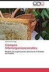 Campos Interorganizacionales