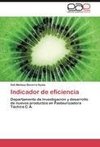 Indicador de eficiencia