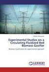 Experimental Studies on a Circulating Fluidized Bed Biomass Gasifier