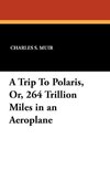 A Trip To Polaris, Or, 264 Trillion Miles in an Aeroplane