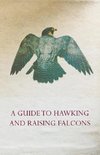 GT HAWKING & RAISING FALCONS -