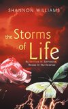 The Storms of Life