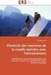 Plasticité des neurones de la moelle épinière avec l'entraînement