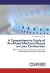 A Comprehensive Study of Pre-Mixed Methane Flames on Lean Combustion