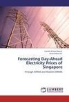 Forecasting Day-Ahead Electricity Prices of Singapore