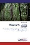 Mapping the Missing Carbon