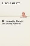 Der mysteriöse Cavalier und andere Novellen