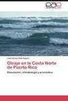 Oleaje en la Costa Norte de Puerto Rico