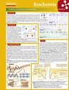 Lerntafel: Biochemie im Überblick