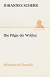 Die Pilger der Wildnis