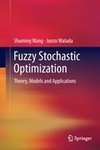 Fuzzy Stochastic Optimization