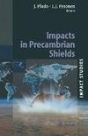 Impacts in Precambrian Shields