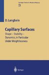 Capillary Surfaces