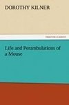 Life and Perambulations of a Mouse