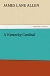 A Kentucky Cardinal