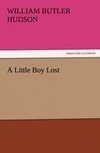 A Little Boy Lost