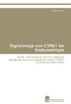 Signalwege von CYR61 im Endometrium