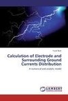 Calculation of Electrode and Surrounding Ground Currents Distribution