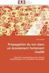 Propagation du son dans un écoulement fortement cisaillé