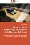 Etude du risque d'inondation au sud-ouest de la Plaine du Cul-de-sac