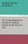 The Young Engineers in Nevada Or, Seeking Fortune on the Turn of a Pick