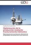 Optimización de la producción mediante fracturamiento hidráulico