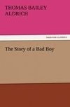 The Story of a Bad Boy