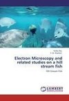 Electron Microscopy and related studies on a hill stream fish