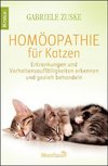 Homöopathie für Katzen