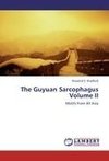 The Guyuan Sarcophagus  Volume II