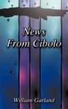 News from Cibolo