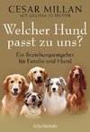 Welcher Hund passt zu uns?