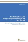 Kristallisation und Morphologiebeeinflussung bei Gipsen