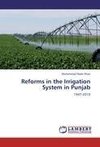 Reforms in the Irrigation System in Punjab