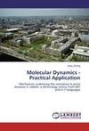 Molecular Dynamics - Practical Application