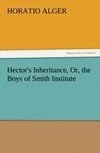 Hector's Inheritance, Or, the Boys of Smith Institute