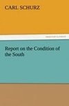 Report on the Condition of the South