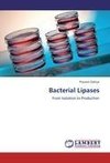 Bacterial Lipases