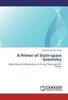 A Primer of State-space Geometry