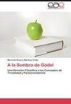 A la Sombra de Gödel