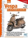 Vespa GTS 125/250/300  -  ab Modelljahr 2005