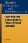 Fuzzy Evidence in Identification, Forecasting and Diagnosis