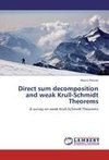 Direct sum decomposition and weak Krull-Schmidt Theorems