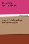 Angelic Wisdom about Divine Providence