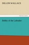 Bobby of the Labrador