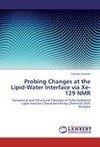 Probing Changes at the Lipid-Water Interface via Xe-129 NMR