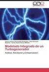 Modelado Integrado de un Turbogenerador