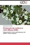 Protocolo de cultivo in vitro (Musa AAB)