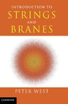 Introduction to Strings and Branes