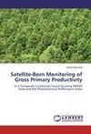 Satellite-Born Monitoring of Gross Primary Productivity